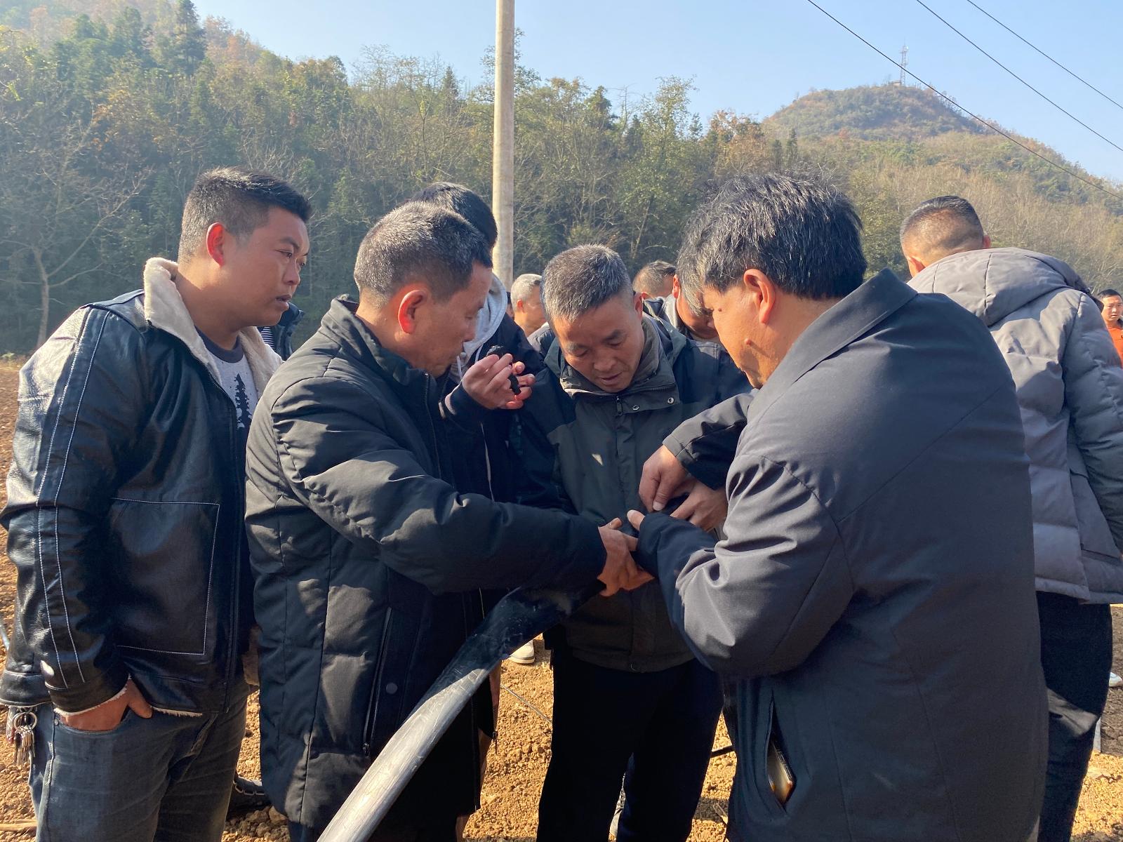 片區技術員指導煙農實操滴灌帶打孔技術
