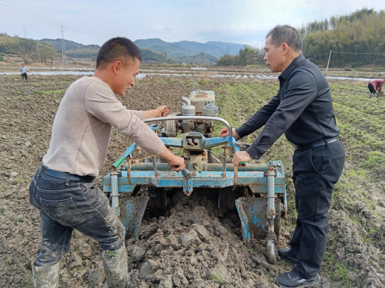 圖為煙技員指導煙農(nóng)進行施肥蓋膜