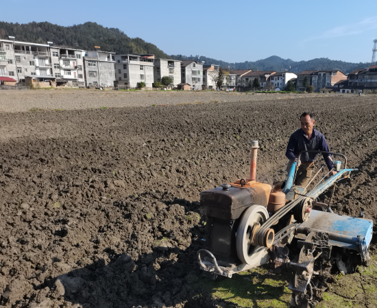 圖為煙農在起壟過程中利用開溝器進行開溝