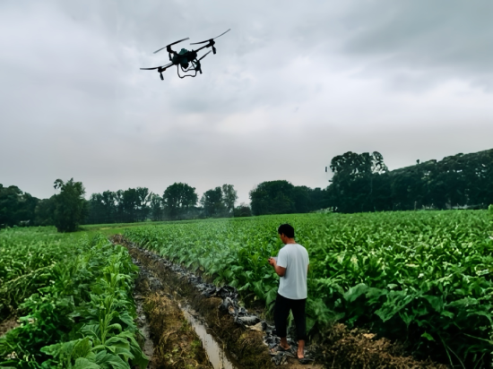 圖為無人機操作員正在操控植保無人機施灑波爾多液