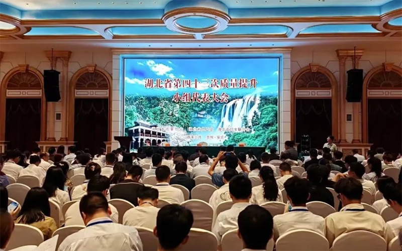 湖北省第43次質量提升小組代表大會現(xiàn)場