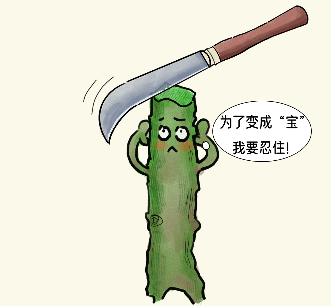 640 (5).png