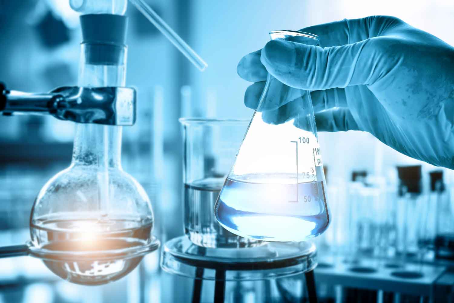 lab-1.jpg
