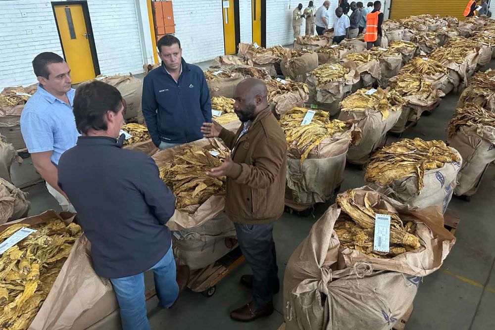 zimbabwe.jpg
