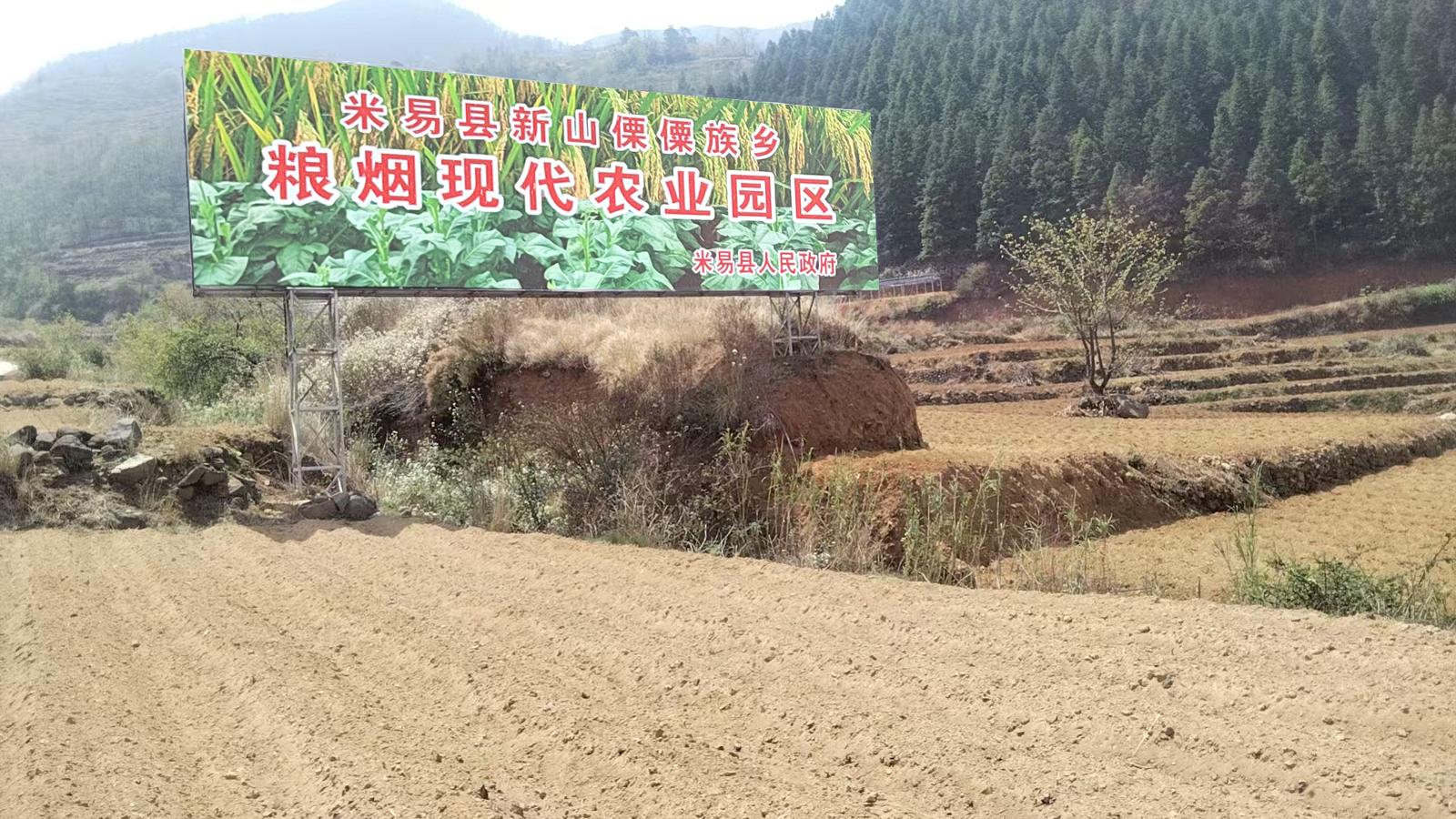 米易縣新山鄉高隆村金葉共富單元糧煙現代農業園區.jpg