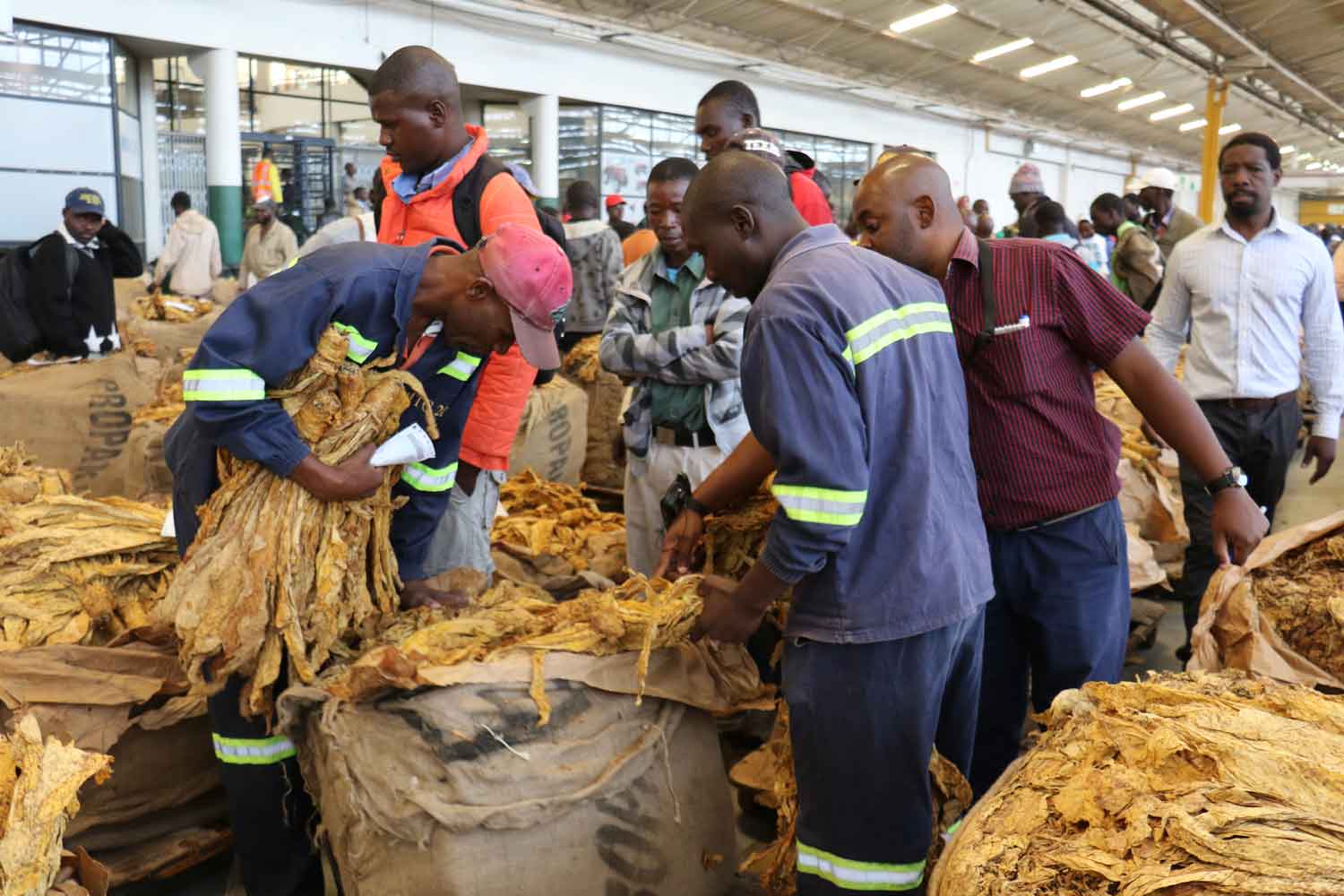 zimbabwe.jpg