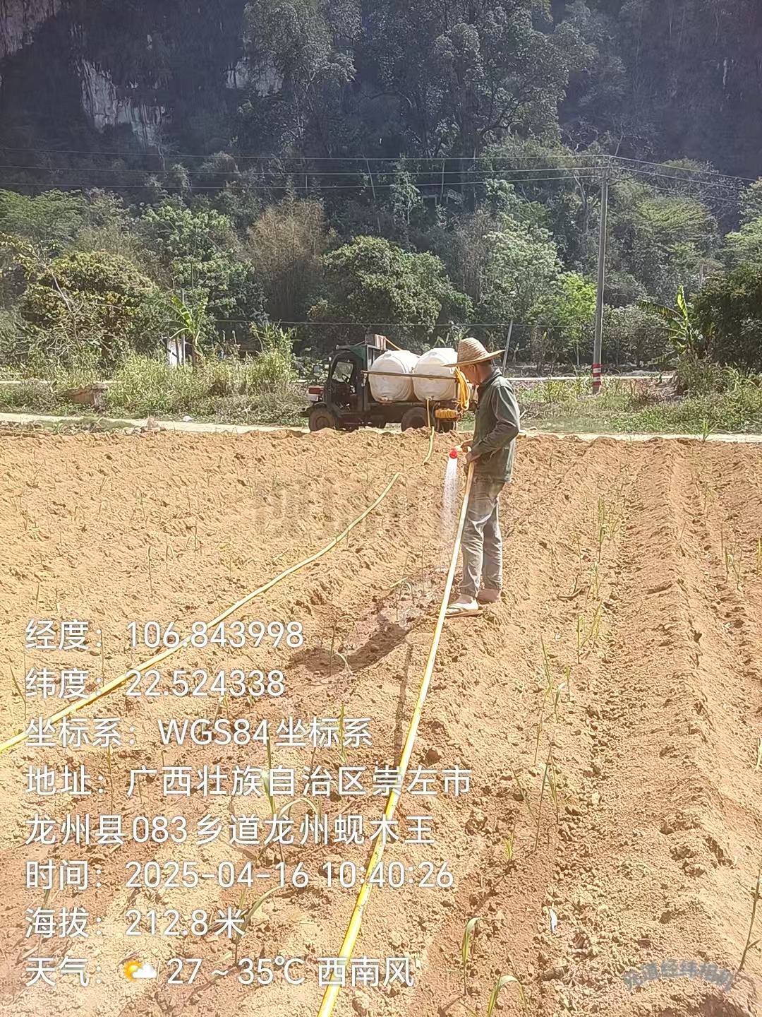 拉水到田邊給甘蔗澆水.jpg