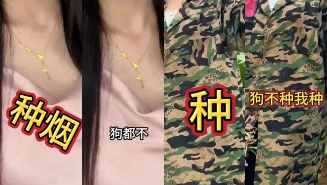 微信圖片_20250520103300.jpg