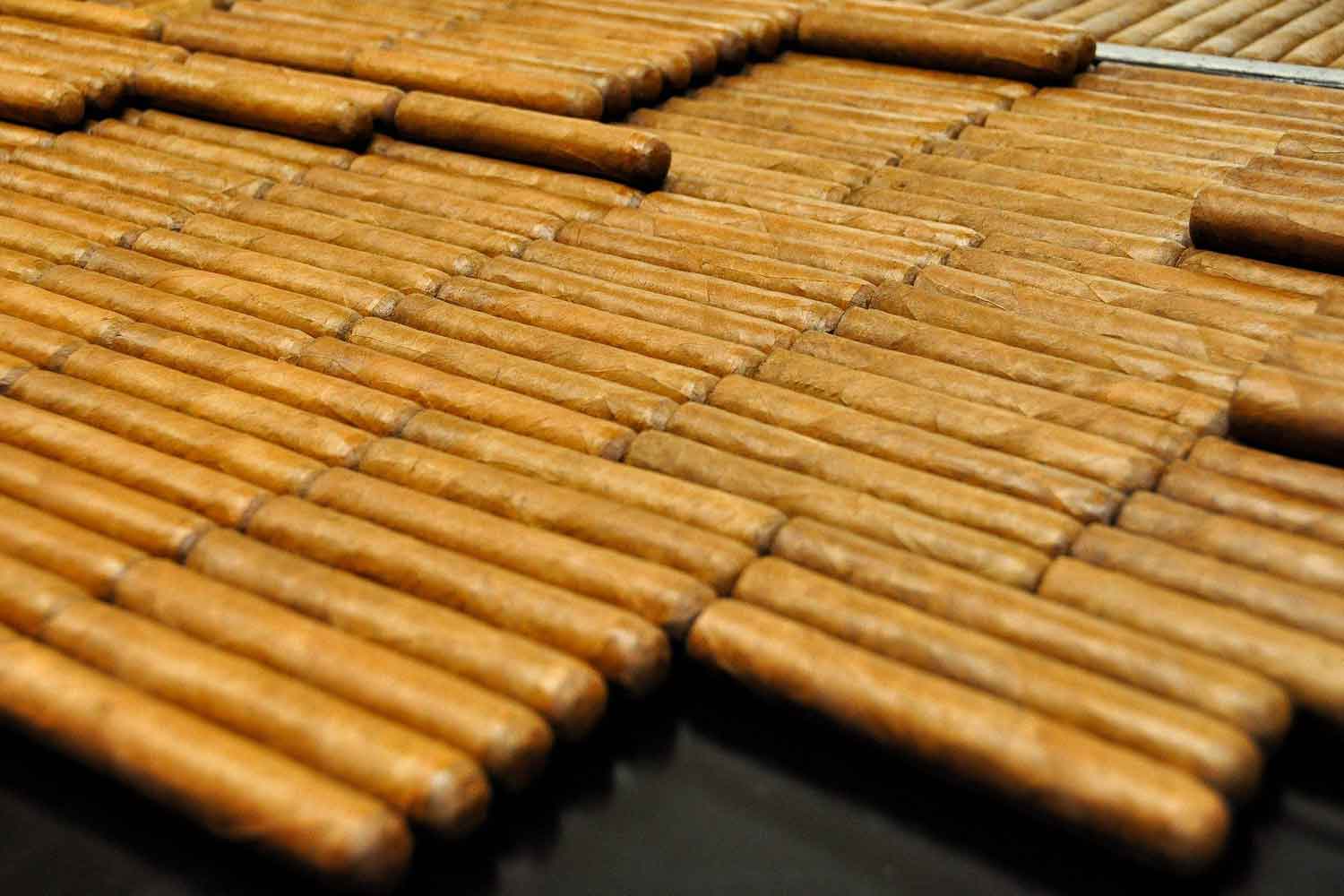 cigars1.jpg