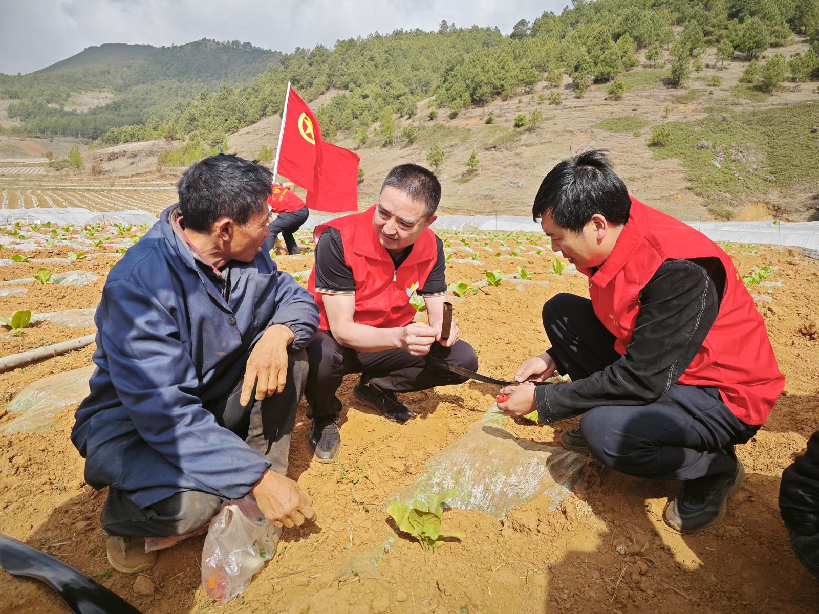 水肥一體化安裝技術講解現場.jpg