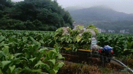 640.gif