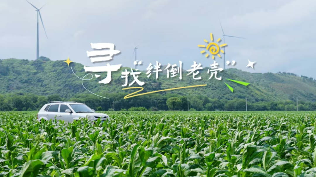 微信圖片_20250715102523.png