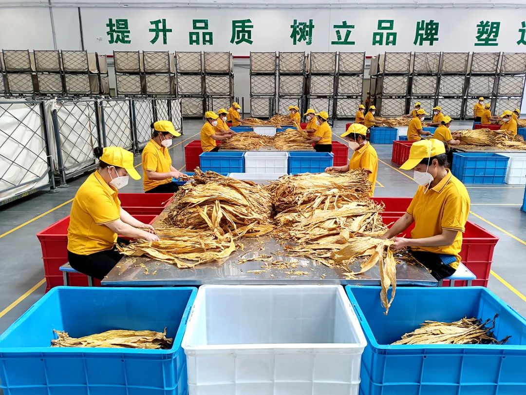 微信圖片_20250822104151.jpg