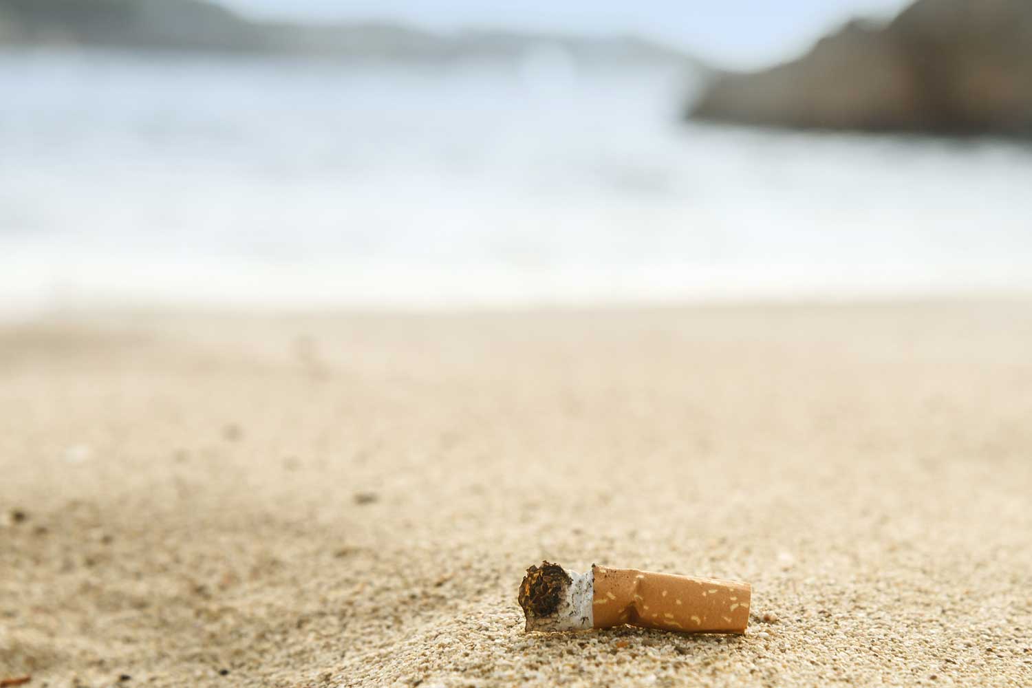 beach.jpg